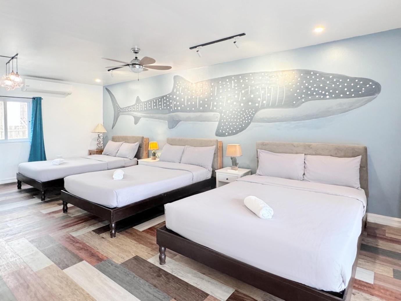 Kalachuchi Inn 薄荷雞蛋花旅宿 Đảo Đảo Panglao Ngoại thất bức ảnh