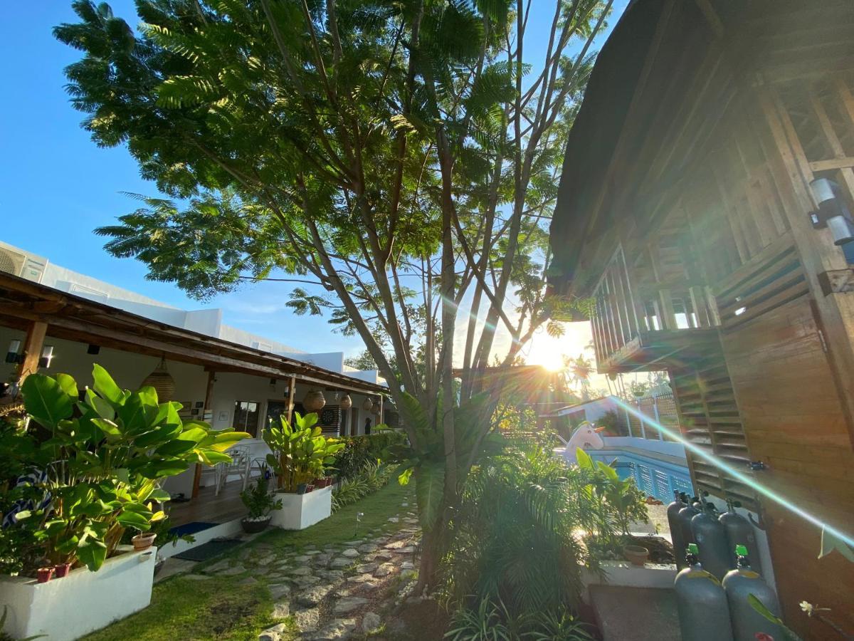 Kalachuchi Inn 薄荷雞蛋花旅宿 Đảo Đảo Panglao Ngoại thất bức ảnh